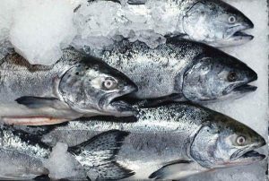 Покупка замороженной рыбы: плюсы и минусы