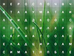 Как правильно решать Филворды? онлайн